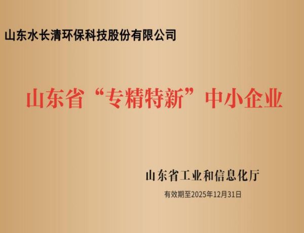 المشاريع الصغير